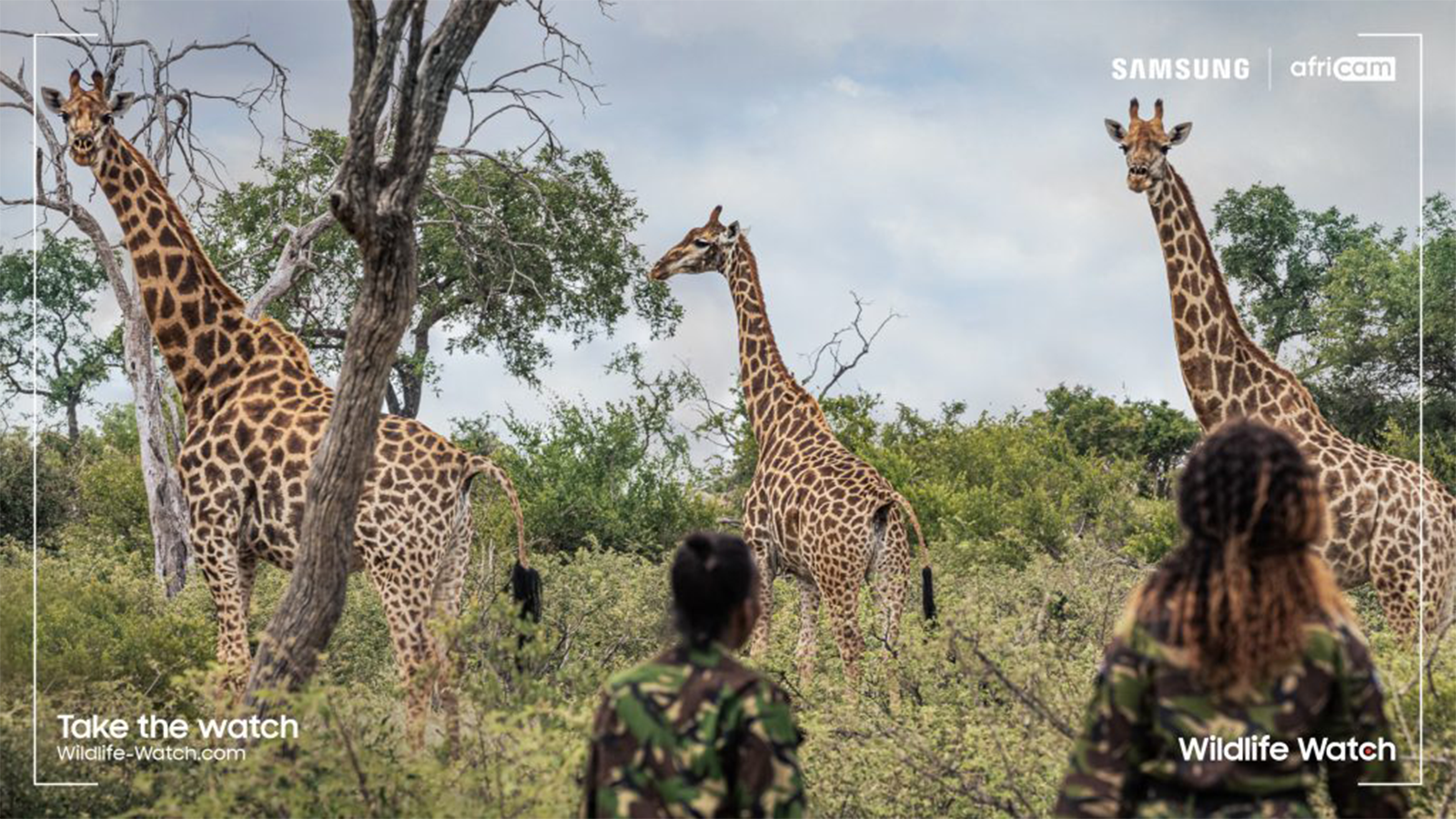 Wildlife Watch, Kruger National Park